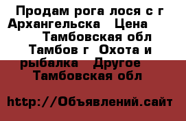 Продам рога лося с г.Архангельска › Цена ­ 6 000 - Тамбовская обл., Тамбов г. Охота и рыбалка » Другое   . Тамбовская обл.